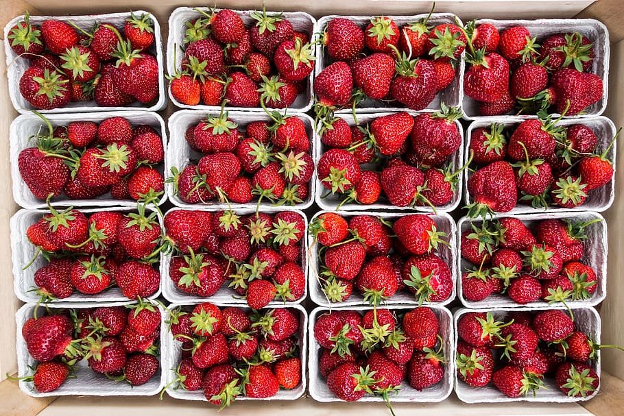 Modified Atmospheric Packaging of Strawberry