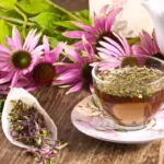Echinacea Tea